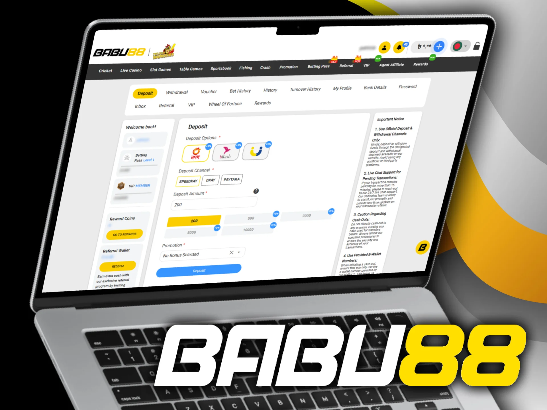 A variety of payment methods for cricket betting on Babu88.